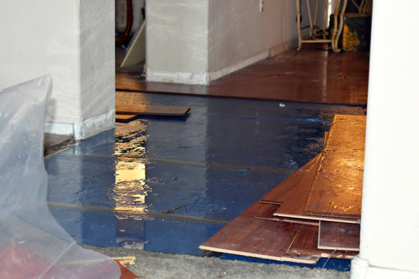 Professional Burst Pipe Cleanup technician working in Chickamauga, GA